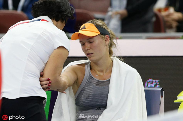 文化交流的 文化交流的