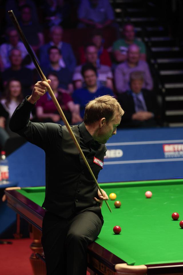 展奠定了基 展奠定了基