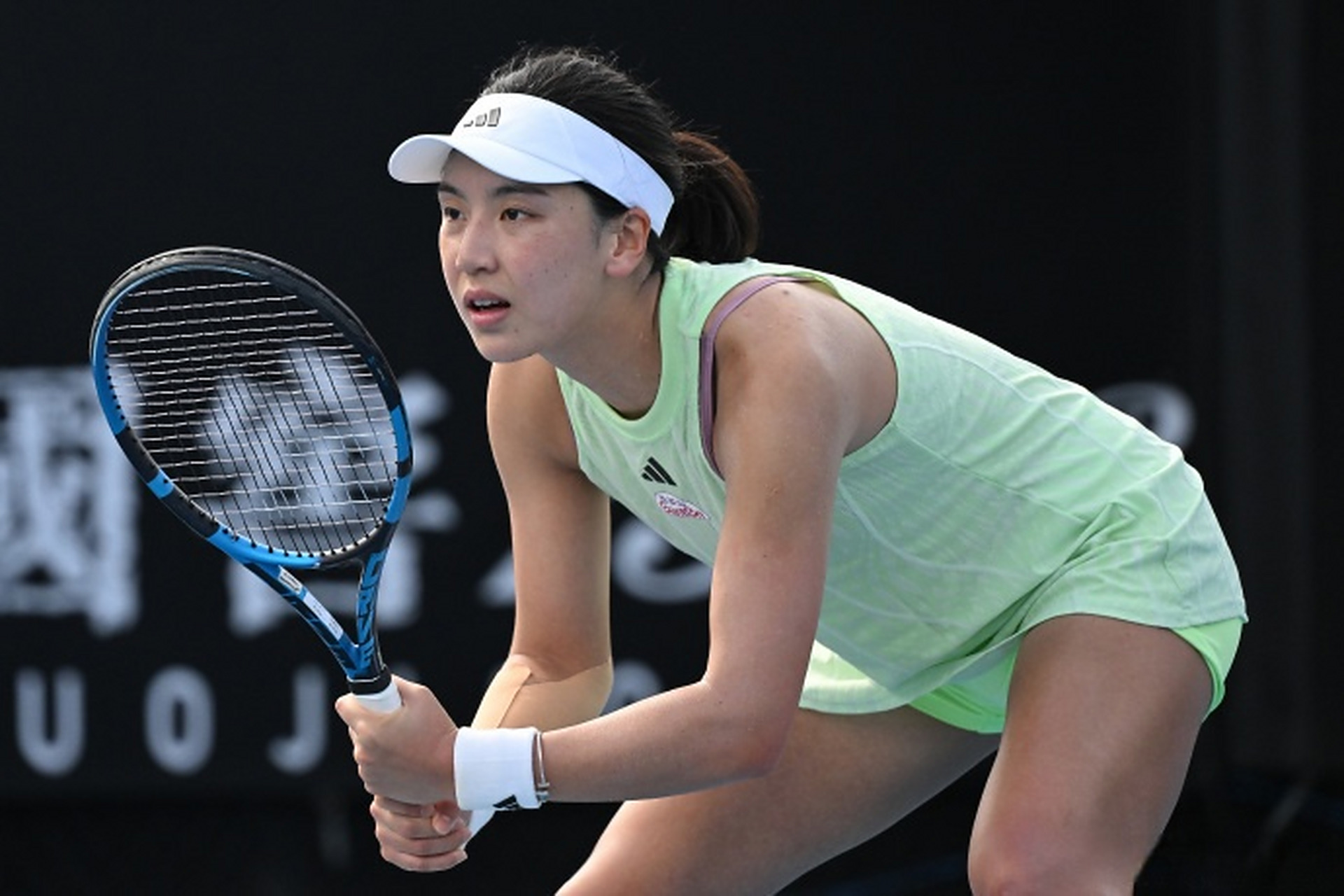 从纯粹的篮 从纯粹的篮