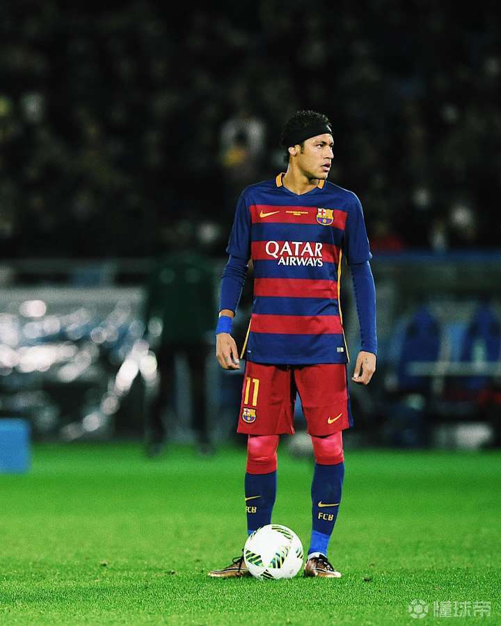 灰熊的胜利 灰熊的胜利